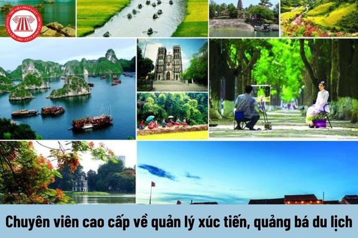 Xu hướng Loài cá kỳ lạ nhất châu Phi:: Hotspot Matrix tiết lộ bí quyết video viral