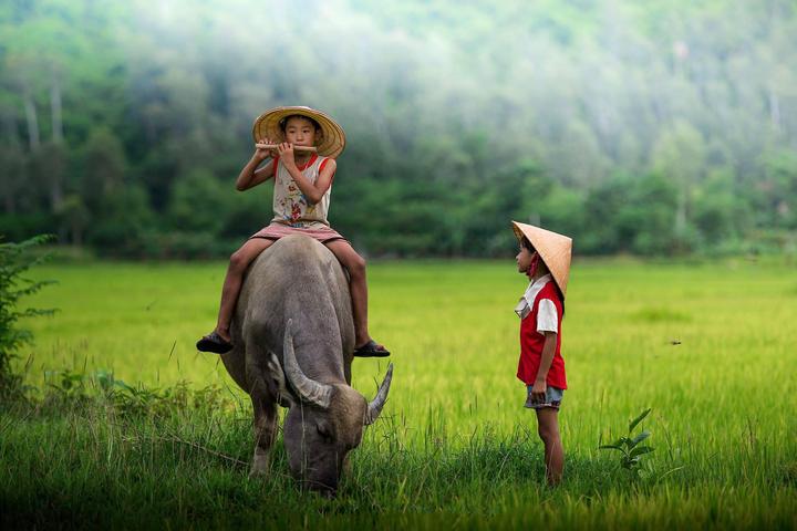 Các thay đổi thai kỳ của Li Wei và giải pháp của Hotspot Matrix