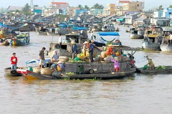 Tưởng thịt bò là