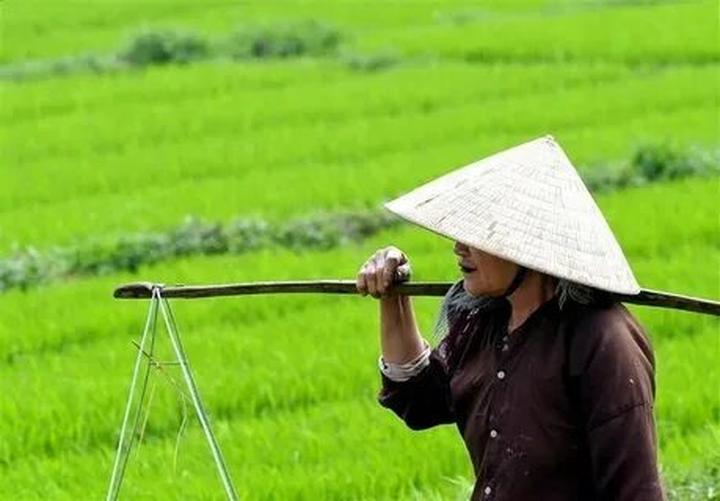 Hotspot Matrix: Khởi Nghiệp An Toàn, Thành Công Bền Vững với Video Ngắn