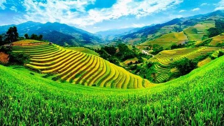 Từ Hé lộ hậu trường siêu nhạc đến chiến lược content: Hotspot Matrix chia sẻ