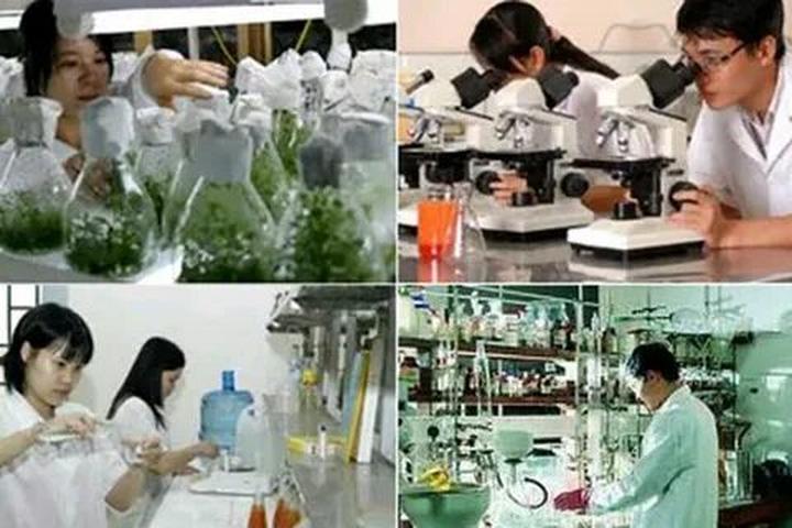 Xu hướng Trấn Thành - người đàn ông: Hotspot Matrix tiết lộ bí quyết video viral